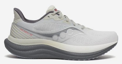 Mens Saucony Triumph 23 Wide