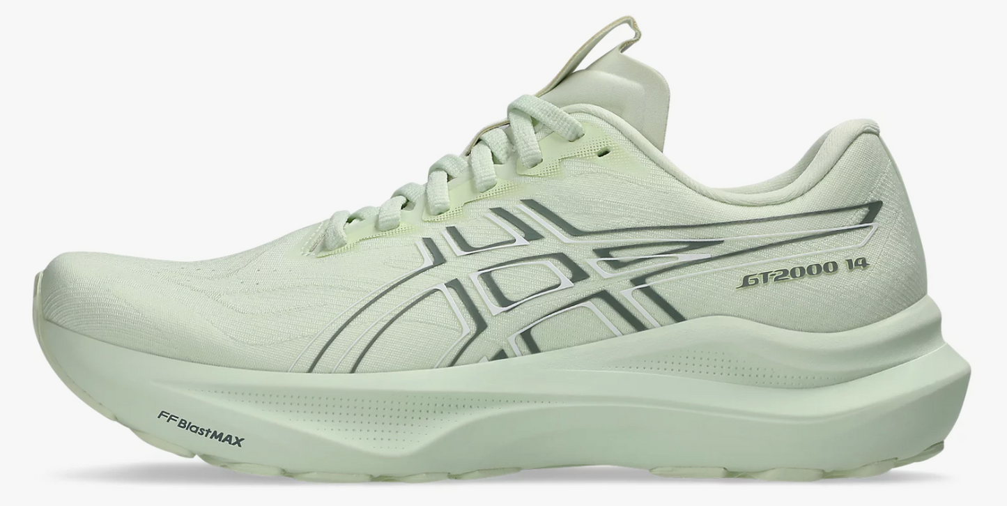 Womens Asics GT-2000 v14