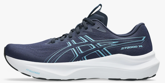 Mens Asics GT-2000 v14