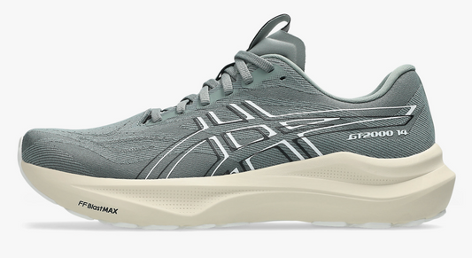 Mens Asics GT-2000 v14