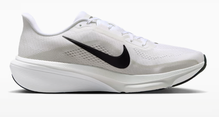 Mens Nike Pegasus 42