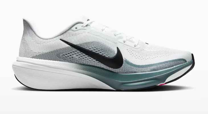 Mens Nike Pegasus 42
