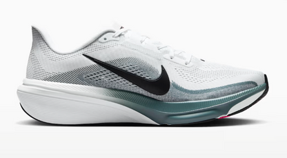 Mens Nike Pegasus 42
