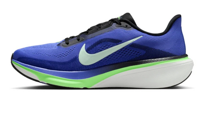 Mens Nike Pegasus 42