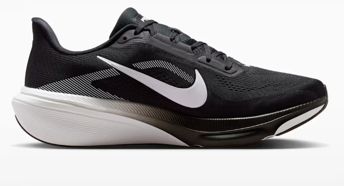 Mens Nike Pegasus 42