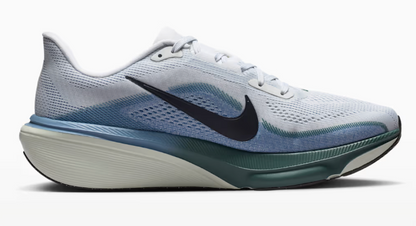 Mens Nike Pegasus 42