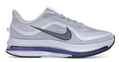 Mens Nike Pegasus Premium