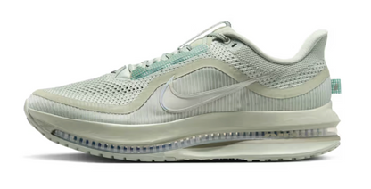 Mens Nike Pegasus Premium