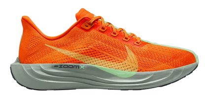 Mens Nike Pegasus Plus