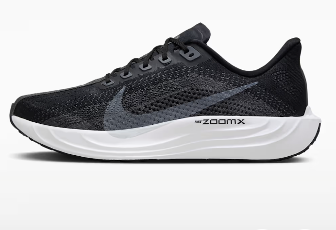 Mens Nike Pegasus Plus