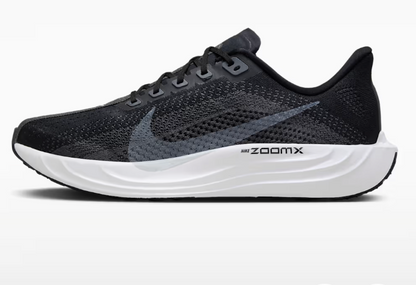 Mens Nike Pegasus Plus