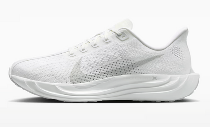 Mens Nike Pegasus Plus