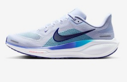 Mens Nike Pegasus 41