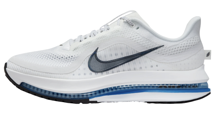 Mens Nike Pegasus Premium